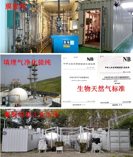 生物质制生物天然气成套工艺技术解析及其标准化进展——基于生物科学技术的研究视角