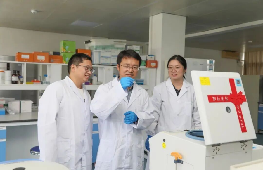 科技革新焕新云南糖业竞争力 生物科学技术的研究路径与实践