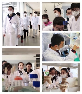 探索求知|清大紫育探索微生物奥秘青少年研究性学习营圆满结束