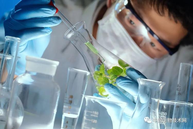 学术研究,是技术重要,还是想法重要?